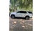 2022 Chevrolet Tahoe LS